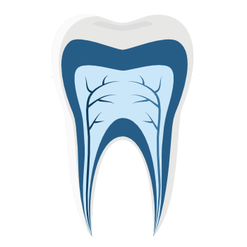 Icona Odontoiatria Adulti
