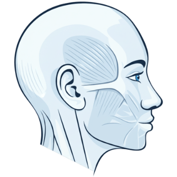 Icona Gnatologia e DTM